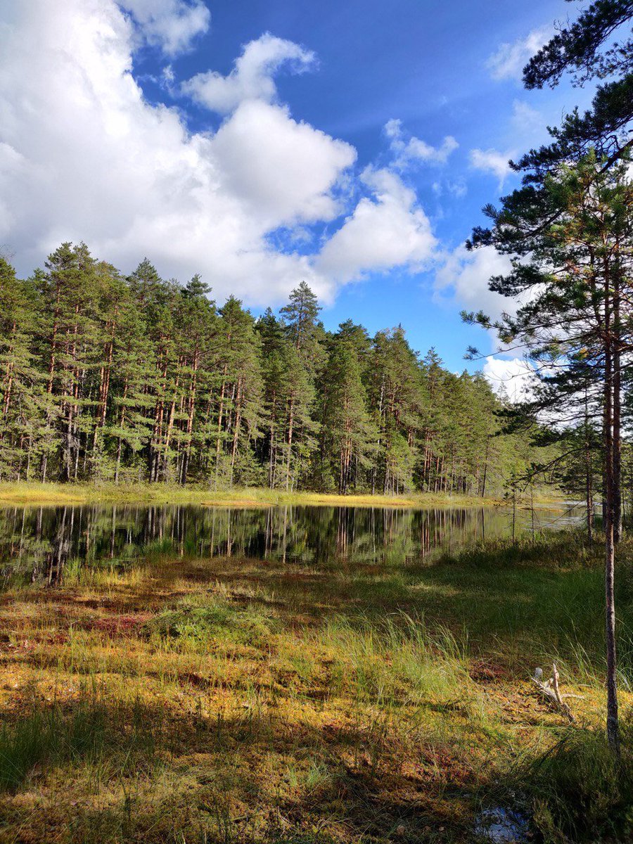 ELLISforEurope's tweet photo. Don’t forget to register for the ELLIS Doctoral Symposium #EDS2023 (28 Aug – 1 Sep) and meet other PhDs &amp; postdocs during a summer trip to Finland! In addition to science talks &amp; poster sessions, the event also includes a trip to Nuuksio National Park. 

👉https://t.co/8fXsqyWyd7 https://t.co/zdJ16uAcqe