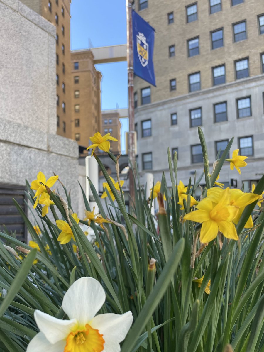 Let’s make it a DAY, Panthers! 🔵🟡