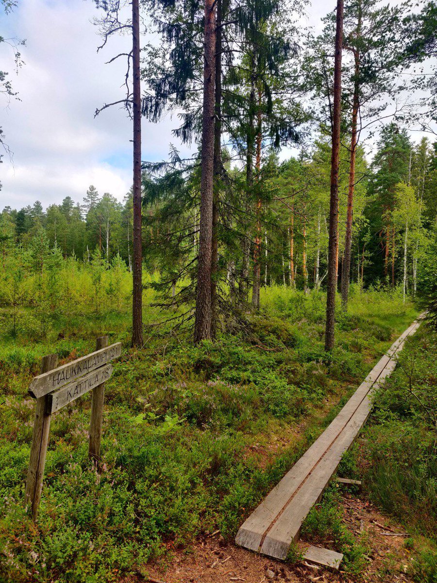 ELLISforEurope's tweet photo. Don’t forget to register for the ELLIS Doctoral Symposium #EDS2023 (28 Aug – 1 Sep) and meet other PhDs &amp; postdocs during a summer trip to Finland! In addition to science talks &amp; poster sessions, the event also includes a trip to Nuuksio National Park. 

👉https://t.co/8fXsqyWyd7 https://t.co/zdJ16uAcqe