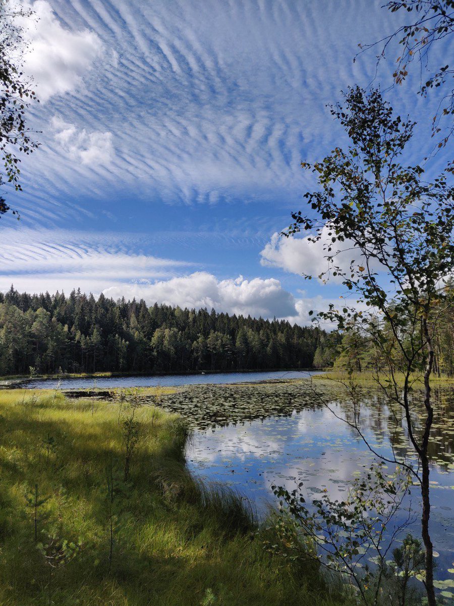 ELLISforEurope's tweet photo. Don’t forget to register for the ELLIS Doctoral Symposium #EDS2023 (28 Aug – 1 Sep) and meet other PhDs &amp; postdocs during a summer trip to Finland! In addition to science talks &amp; poster sessions, the event also includes a trip to Nuuksio National Park. 

👉https://t.co/8fXsqyWyd7 https://t.co/zdJ16uAcqe