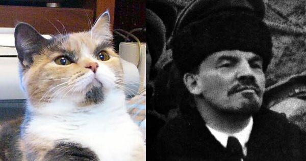 CursedObjectsUK's tweet photo. 📢 New episode! Are cats left-wing?? 🐱✊ thanks to #catbloc comrades @hackneylad @huwlemmey and of course @marxforcats for their input https://t.co/2ef8SXFhOF https://t.co/fPbP3P3abR