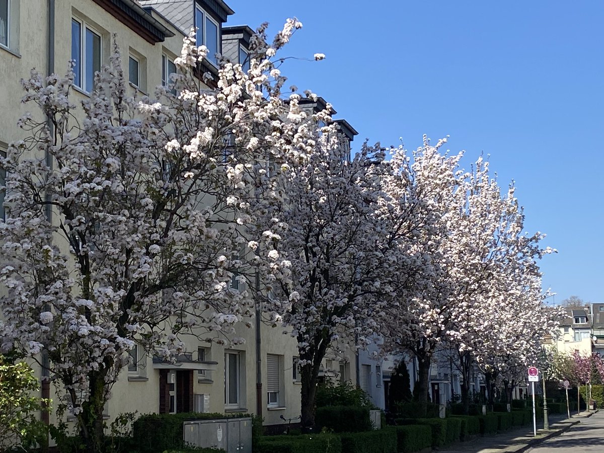 Grüße an <a href="/elisab_at/">Elisabeth Scherer</a> und <a href="/elpeterico/">Peter Bernardi</a> und <a href="/prieber/">Sebastian Prieber</a> aus der Neptunstrasse