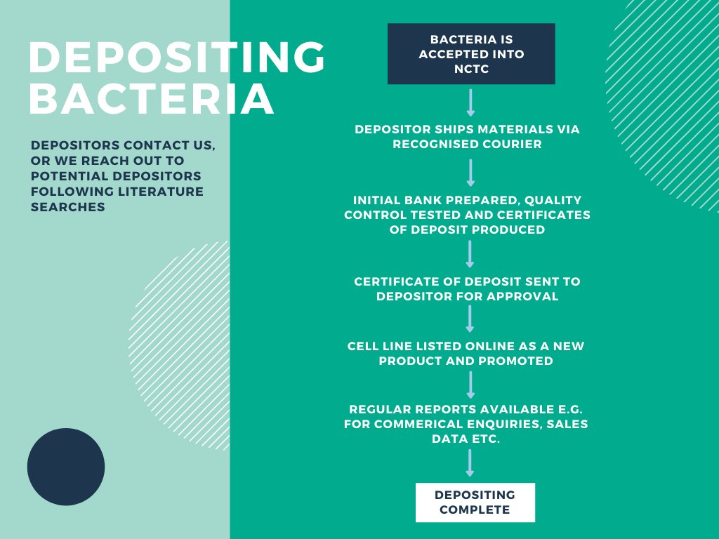 Keep being asked to share or distribute a valuable strain at #ECCMID2023 or #Microbio23?

Depositing bacterial strains into the NCTC accessible catalogue is a free service, and provides a safe repository for them to scientists globally

🦠culturecollections.org.uk/deposit-with-u…