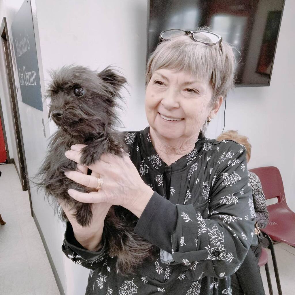 EspanolaHumane's tweet photo. Perfect & precious Petunia now has a most magnificent mama: welcome to forever, you tiny scruffalicious cutie! #adopted
#perfect #precious #petunia #magnificent #mama #foreverhome #lapdog #blackdog #blackdogsofinstagram #adoptdontshop #rescuedismyfavori… https://t.co/gyk6kIkCuX https://t.co/zHxvq618eq