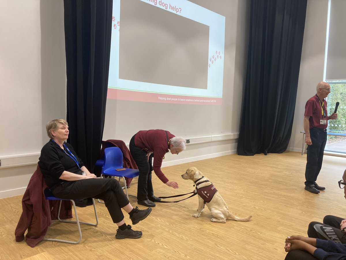 MeadowHighSch's tweet photo. Today we had @HearingDogs charity kindly come in and do an assembly for our pupils. We learnt about how these amazing dogs help those who are hard of hearing. Willow was very well behaved 🐶 https://t.co/V7qnBRAjS3