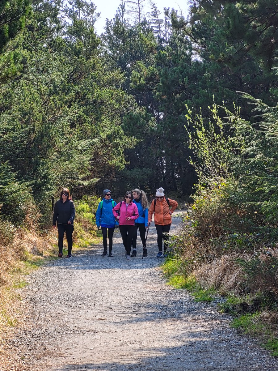 SportActiveWex's tweet photo. The sun was out for our rescheduled Forth Mountain this morning ☀️
All the ladies who joined us thoroughly enjoyed the trek along with some forest bathing to take in the sounds of nature.
#ForthMountain #ForestBathing #SoundsOfNature https://t.co/3eU4zqkpQD