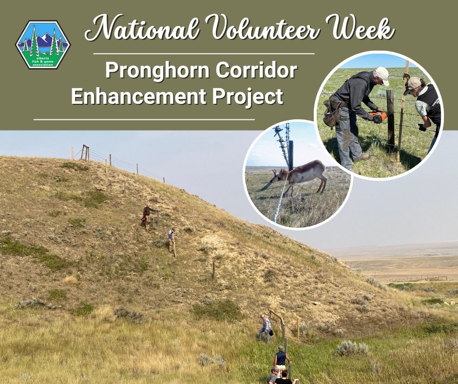 Alberta Fish & Game tweet media