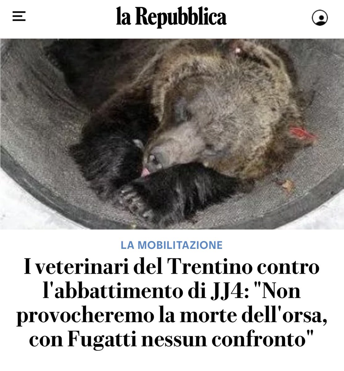 stanzaselvaggia's tweet photo. Questa vicenda spacca il cuore. https://t.co/EV80bTdzWW