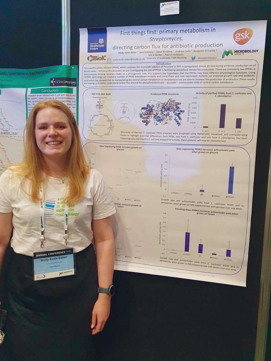 Mol 🙋🏼‍♀️ 🌊 〓〓 tweet media