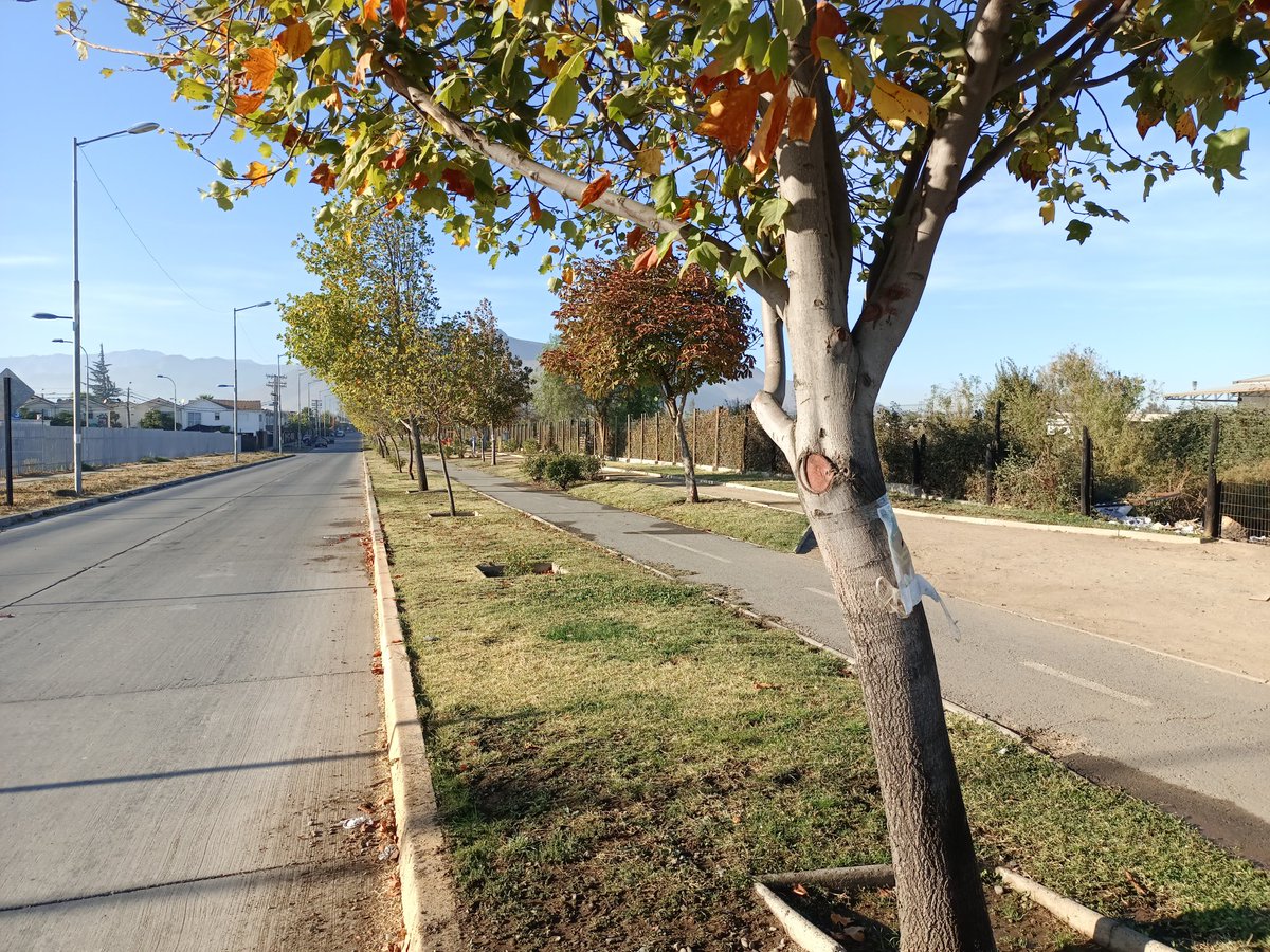 RTransparente01's tweet photo. ¿Nota usted la diferencia a solo una cuadra? Una es la Viña Santa Blanca y el otro el sector Dintrans @PabloSilvaAmaya @DPROhiggins sector Dintrans la tierra del olvido en #Rancagua zona de sacrificio @Presidencia_cl @chilevision @TVN @GabrielBoric https://t.co/heRD9Jc9eK