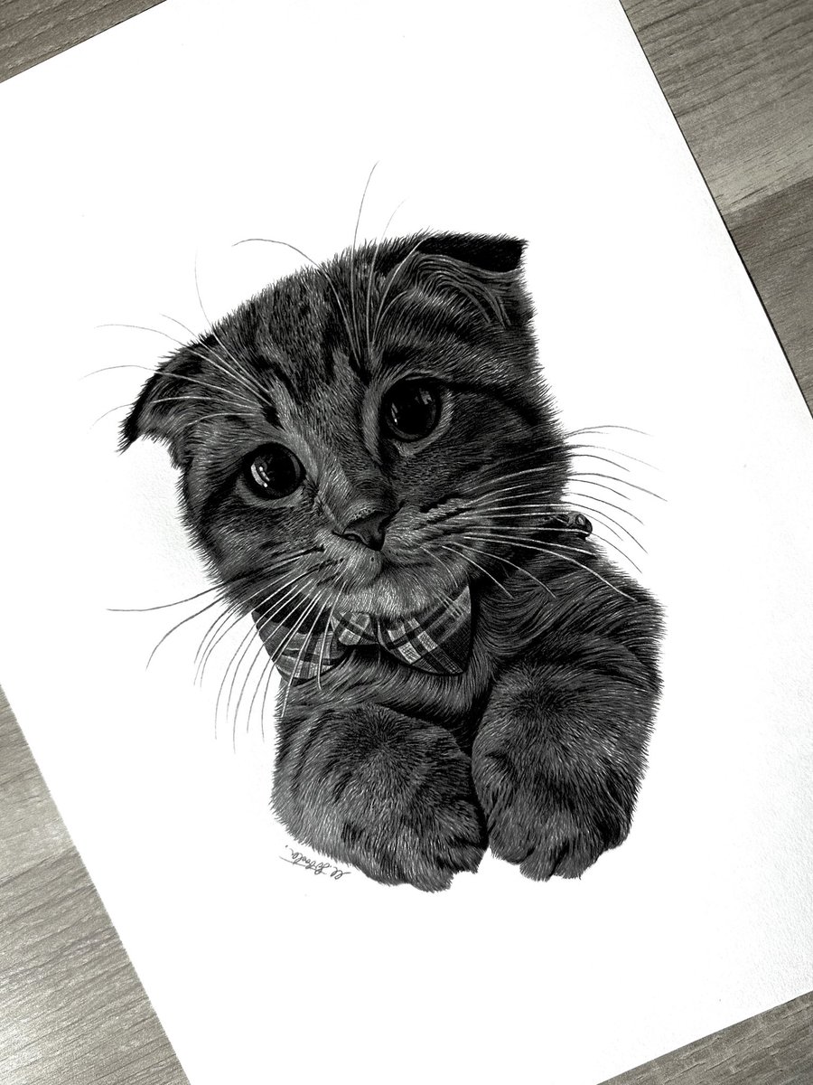 marcloboda's tweet photo. For the next week my A4 and A3 commissions are HALF PRICE, so if you’ve been wanting something for yourself or a loved one, then get in touch now as they won’t be this cheap again! ✍🏼
All RTs much appreciated 🙏🏼
#petcommissions #petportrait #petportraits https://t.co/zOTFmjFtnS