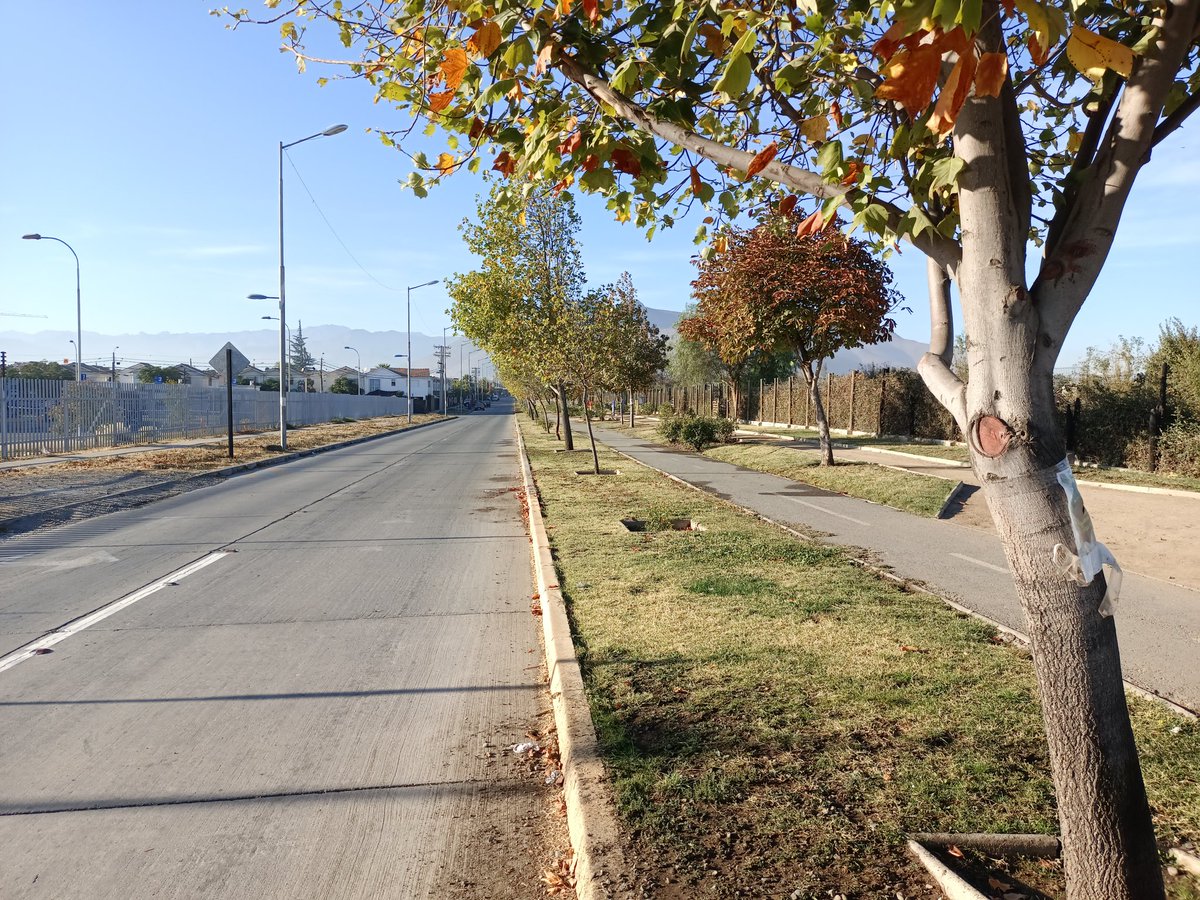 RTransparente01's tweet photo. ¿Nota usted la diferencia a solo una cuadra? Una es la Viña Santa Blanca y el otro el sector Dintrans @PabloSilvaAmaya @DPROhiggins sector Dintrans la tierra del olvido en #Rancagua zona de sacrificio @Presidencia_cl @chilevision @TVN @GabrielBoric https://t.co/heRD9Jc9eK