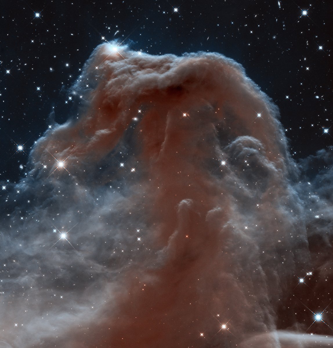 NASAHubble's tweet photo. #OTD 10 years ago, Hubble shared this infrared view of the Horsehead Nebula!

Harsh ultraviolet glare from a fledgling star near the top ridge of the nebula is slowly evaporating this pillar of hydrogen gas laced with dust.

Find out more: https://t.co/VDedckHHoN https://t.co/qeTiiY7LGG