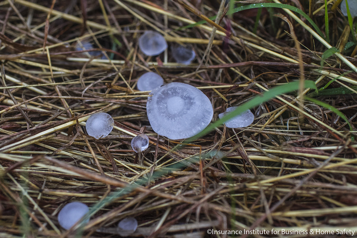 roysterwright's tweet photo. Bridging research with real-world solutions: a report out today from @IBHS_Org and @zestyai shows small hailstones make a big impact. Find out at https://t.co/HNTbZ6q8xV https://t.co/Ez6hoWkVq0