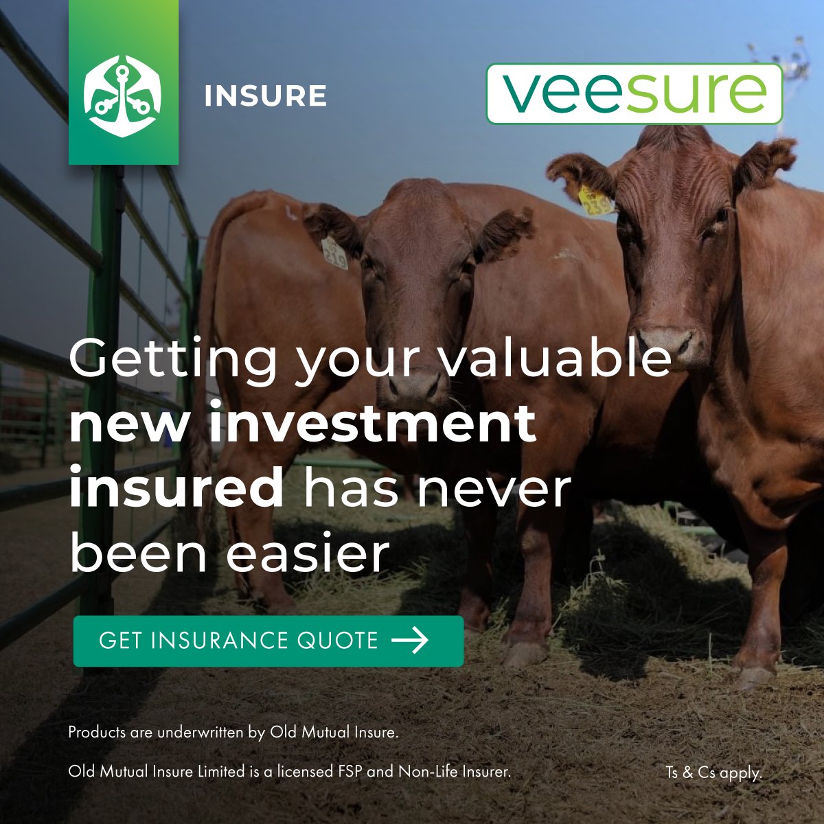 SwiftVEE (@teamswiftvee) on Twitter photo VeeSure is an <a href="/OldMutualInsure/">Old Mutual Insure</a> product solution that provides various options to protect your new proud investment.
Read more: swiftvee.com/veesure_info
#SwiftVee #VeeSure VeeSure is an <a href="/OldMutualInsure/">Old Mutual Insure</a> product solution that provides various options to protect your new proud investment.
Read more: swiftvee.com/veesure_info
#SwiftVee #VeeSure