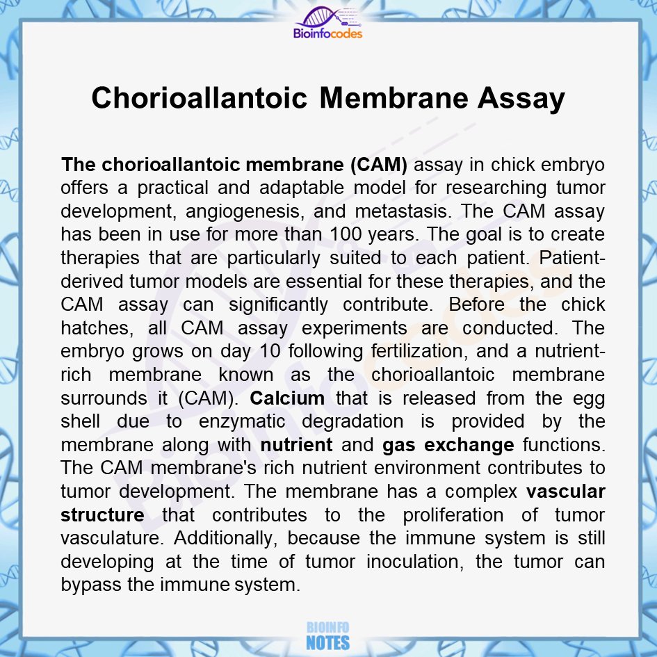 bioinfocodes's tweet photo. New #bioinfonotes about Chorioallantoic Membrane Assay has been published !
#biology #chorioallantoicmembrane #membrane #angiogenesisanalysis #geneexpression #marker #tumormarker #Scaffold #calcium #nutrient #vascularstructureย #biologynotes https://t.co/LwPMEKcpv7