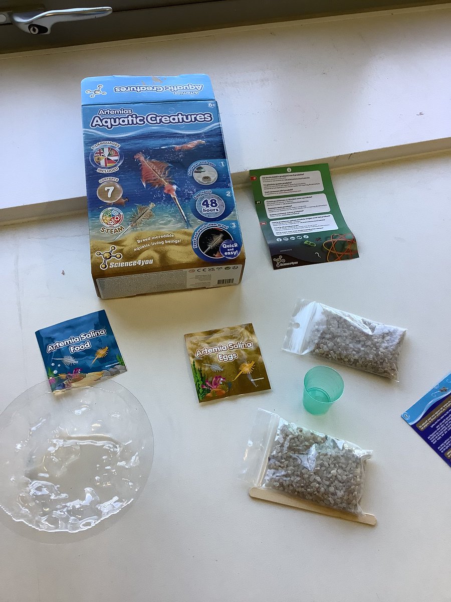 knockhally6's tweet photo. This term year six will be learning about a successful animal called a Triops. Today we set up a tank and hopefully raise some Triops from eggs to fully-grown. https://t.co/AHi15yVVgm