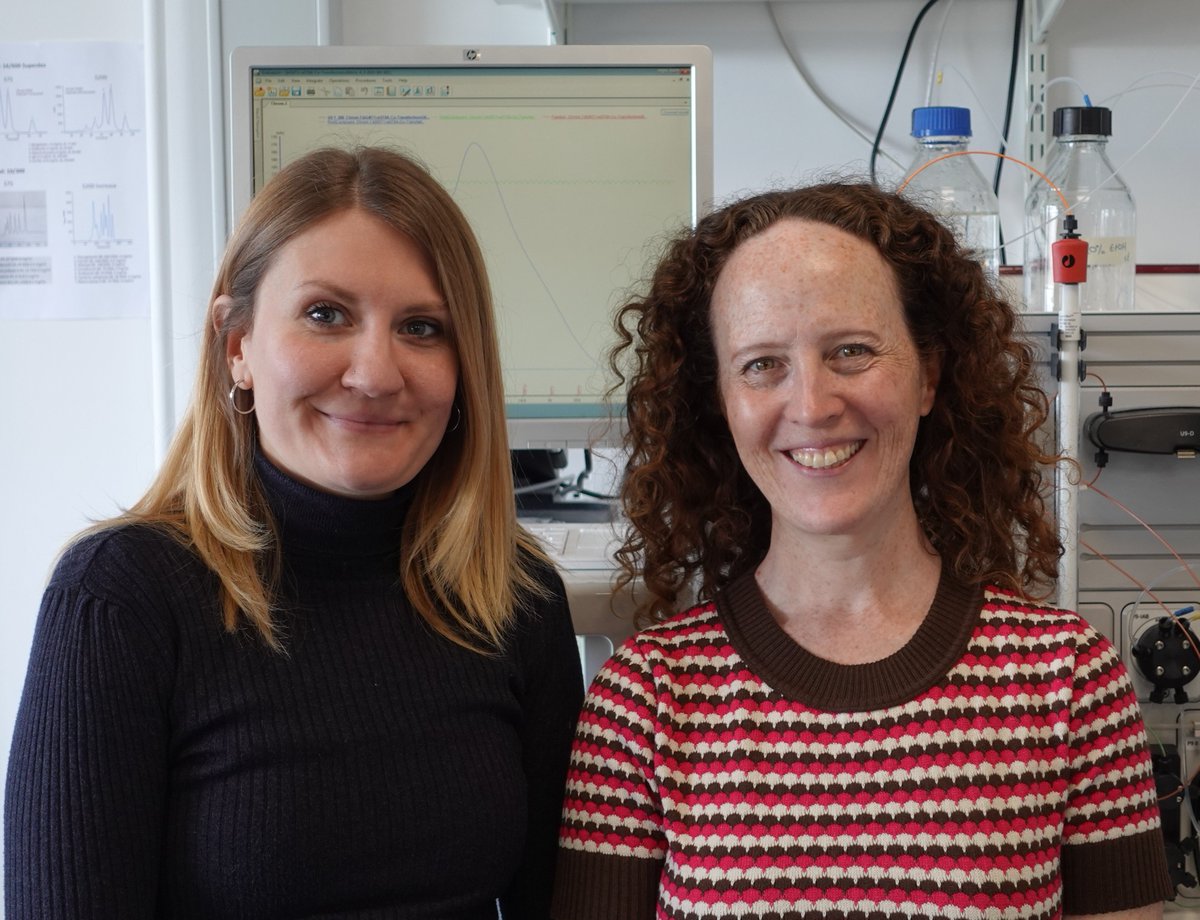 Shannon McKie tweet media