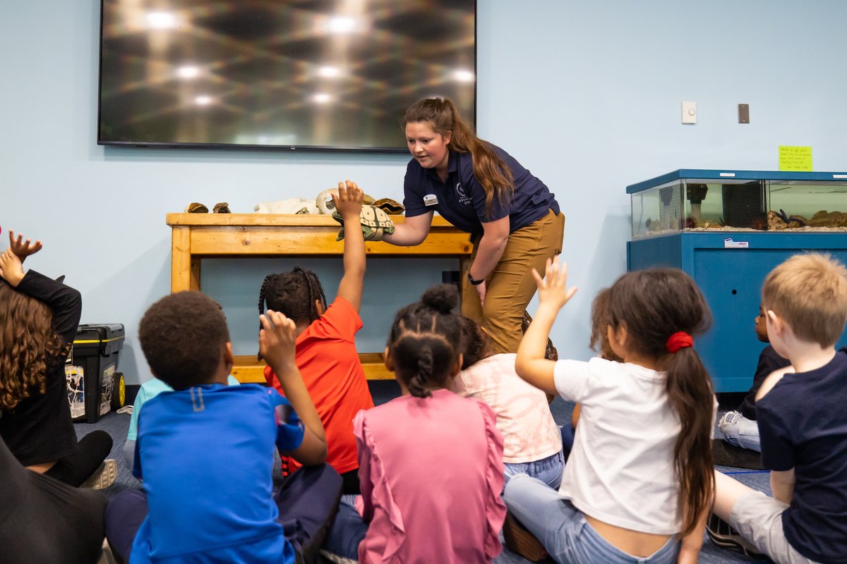PRAGroupInc's tweet photo. Education brings students out of their shells ๐ข
Itโs #EEWeek, and one of our partners is deep in the waters of working to advance awareness. Recently, @VAAquarium and PRA Group teamed up to teach kindergarteners about life as a turtle.
Read more: https://t.co/ySrauYBbex https://t.co/P9Rw5LUXf4