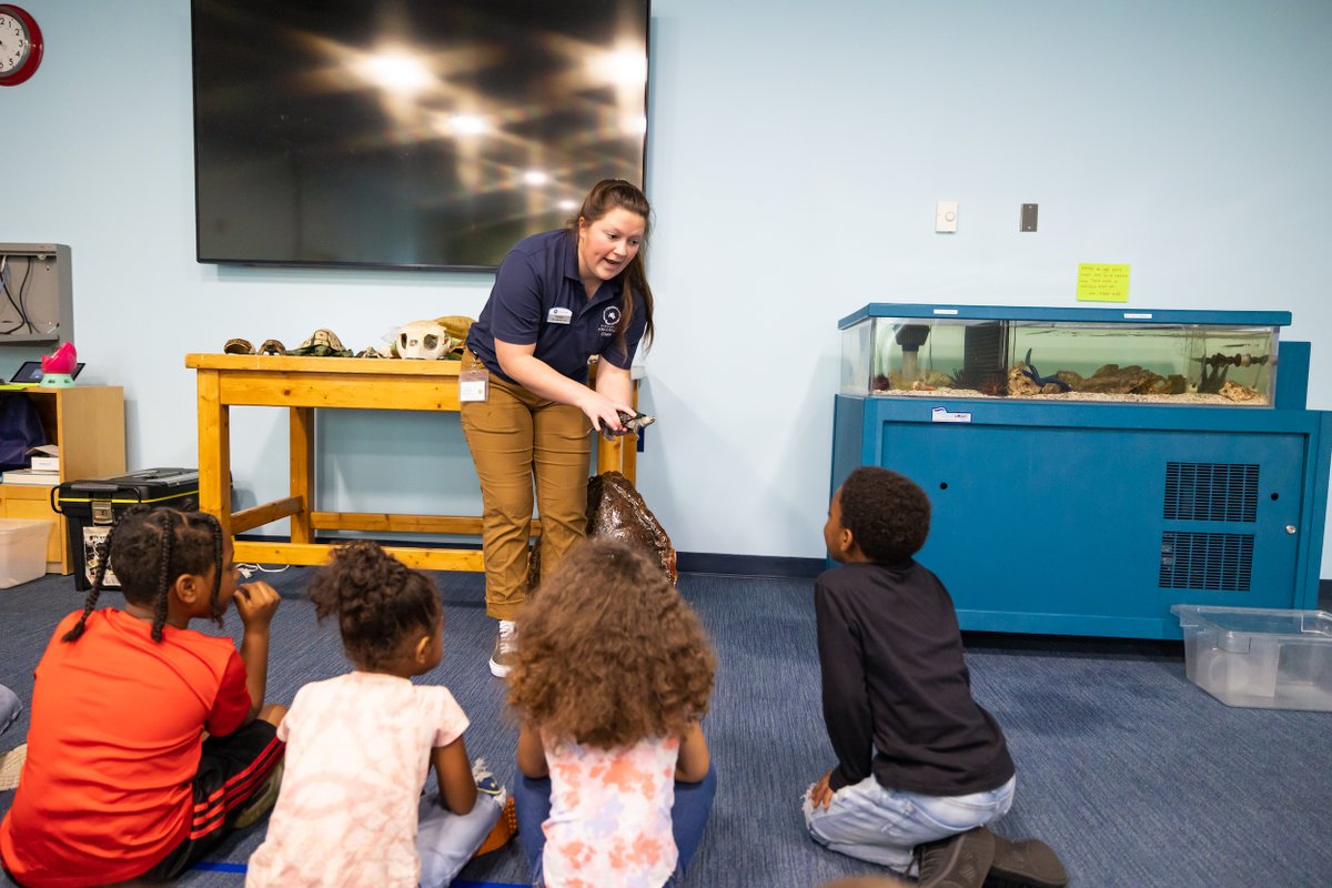 PRAGroupInc's tweet photo. Education brings students out of their shells ๐ข
Itโs #EEWeek, and one of our partners is deep in the waters of working to advance awareness. Recently, @VAAquarium and PRA Group teamed up to teach kindergarteners about life as a turtle.
Read more: https://t.co/ySrauYBbex https://t.co/P9Rw5LUXf4