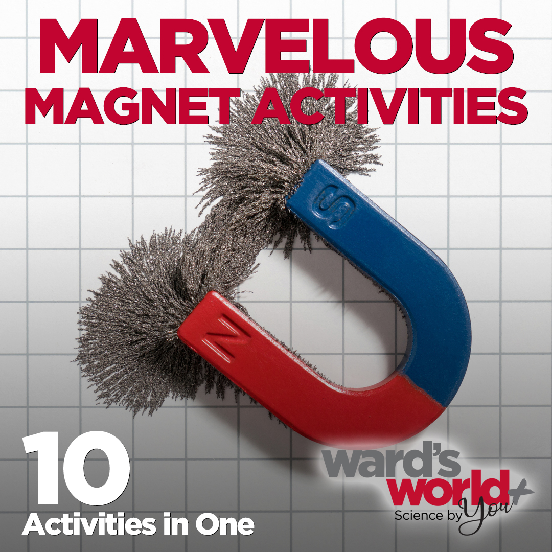 WardsScience's tweet photo. Did you hear? Teaching #electromagnetism has never been easier π§² Check out these 10 interactive lab stations from our #ScienceByYou program and watch how 'magnetic' learning becomes. Available only on #WardsWorld
#Magnets #STEM #SciEd #Science
https://t.co/5mxv9qqS0F https://t.co/4lecBzreE6