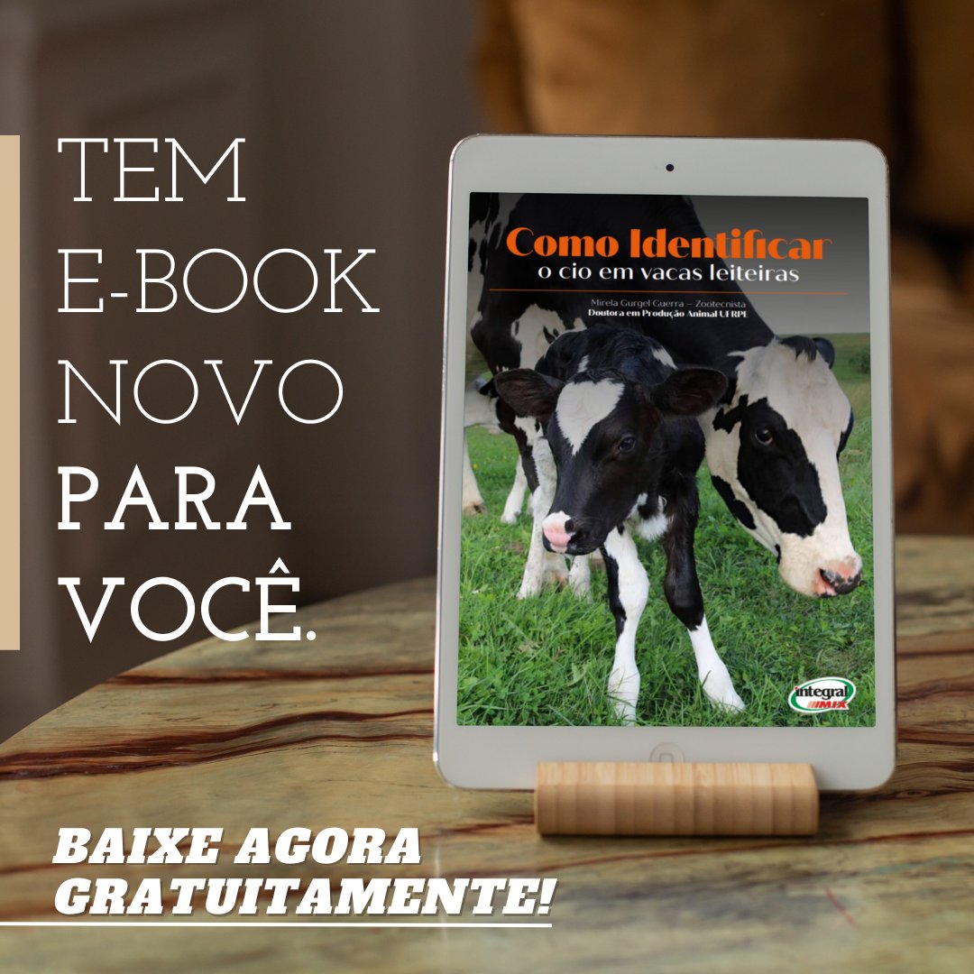 IntegralMix's tweet photo. 💚Atenção, apaixonados por leitura! Você já conhece nossa seção de ebooks gratuitos?
👉Confira agora mesmo uma ampla variedade de livros digitais sem nenhum custo.
Link: https://t.co/7qLB3mjsT3 https://t.co/BF34p5kUb7