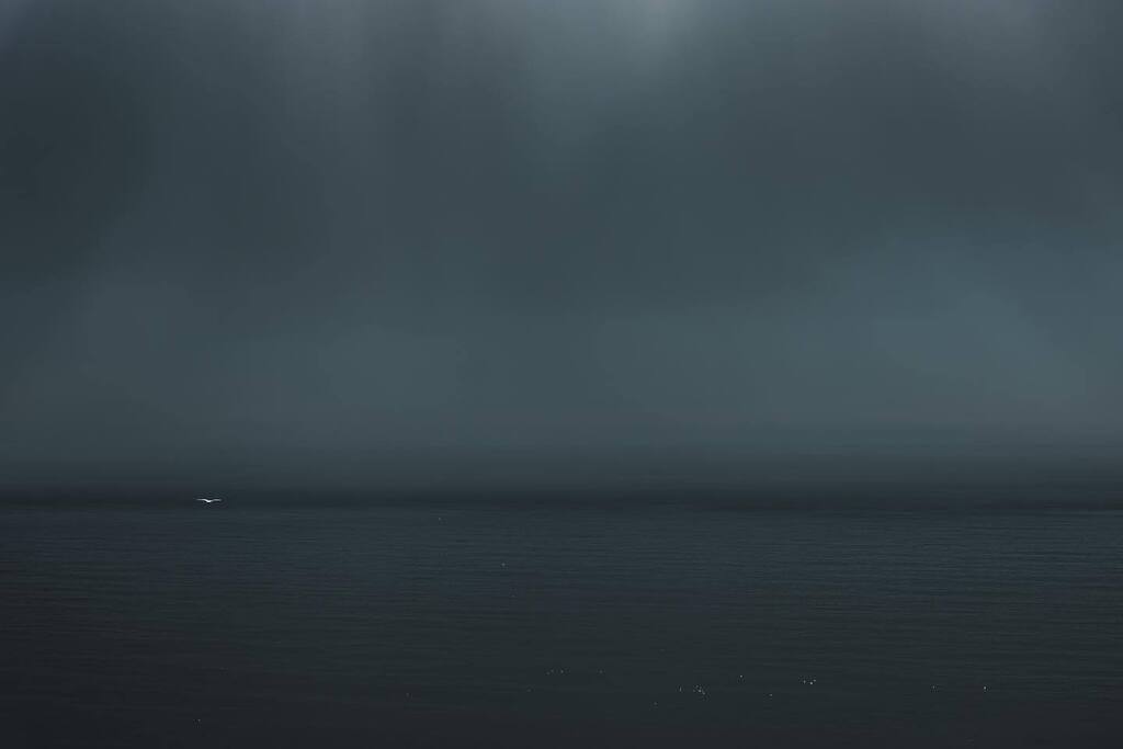 SeafieldStreet's tweet photo. Cloudy (with birds)
14.04.23

#findlatercastle #sandend #cullen #scotland #aberdeenshire #spring #sky #clouds #coast #sea #seagull #storm #rain #leica #leicacamera #varioelmarit #elmarit #leicasl #leicainternational #landscape #seascape #horizon #blue #b… https://t.co/YmLVJo5aL5 https://t.co/ANzbQDsmby