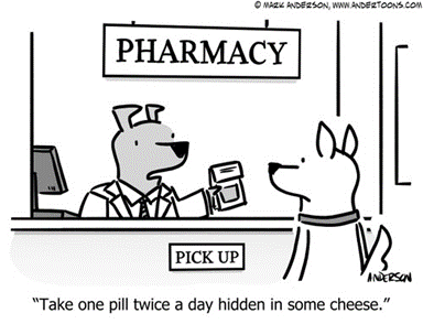 austinpcc's tweet image. Some #HumpDayHumor, because laughter is the best medicine!