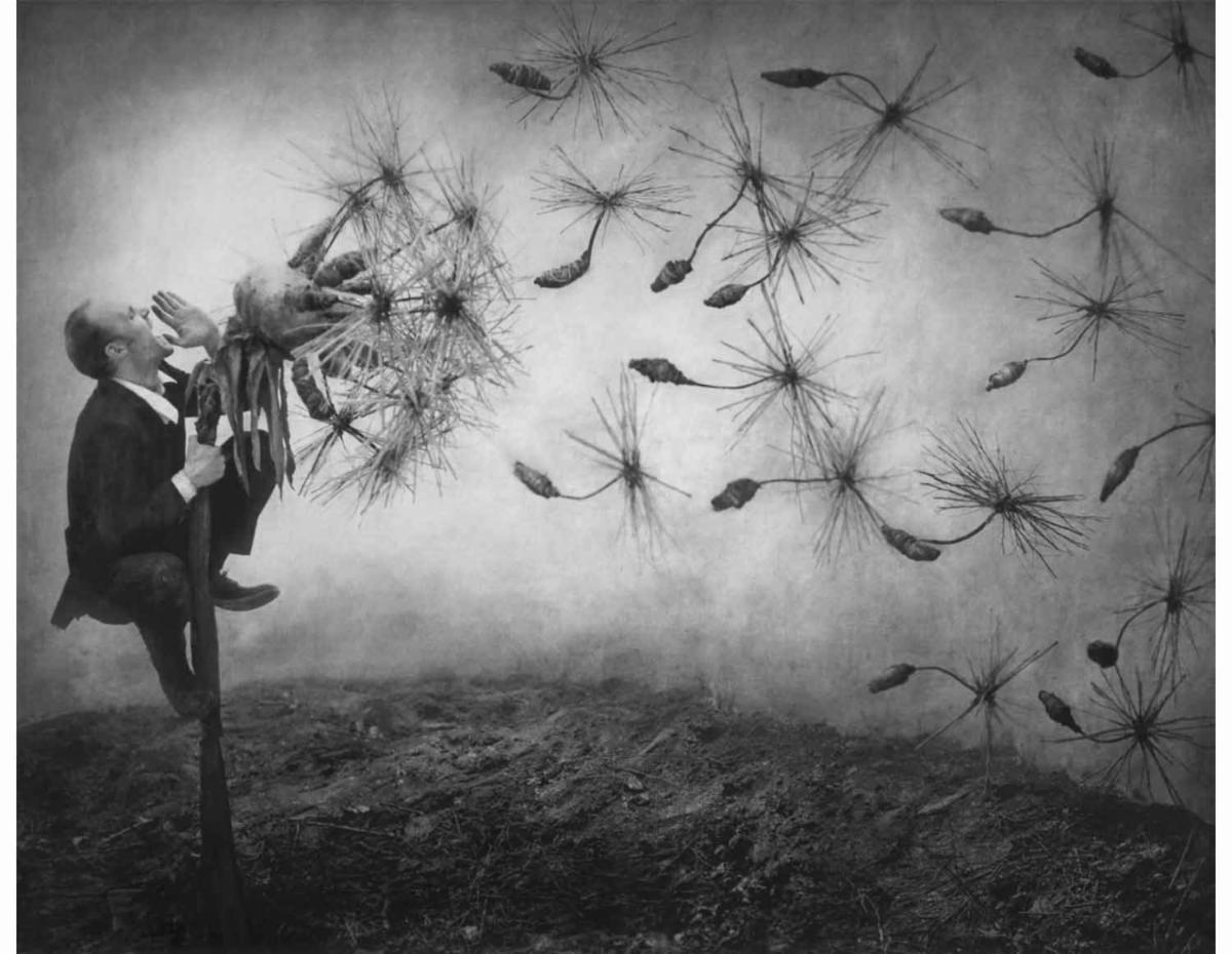 21stEditions's tweet photo. https://t.co/SN09Ne8Lxd

#parkeharrison #analog #listeningtotheearth #stigma #restoration #bookoflife #21steditions
https://t.co/p9iorUUo47 https://t.co/DlemunVeXu
