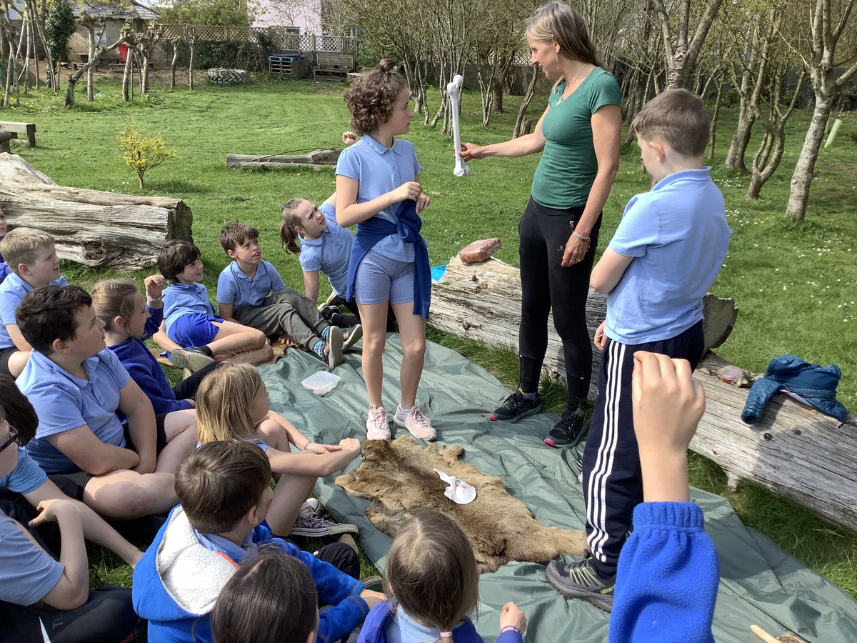llanrhidianp's tweet photo. #LlanPryCop exploring and identifying a variety of different artefacts from the stone ages. Thank you to Helen from Gower Unearthed for bringing these in for us to see. 🦴🦣🪨 #LlanHum #LlanSci #LlanComm https://t.co/FvsJ62Njiv