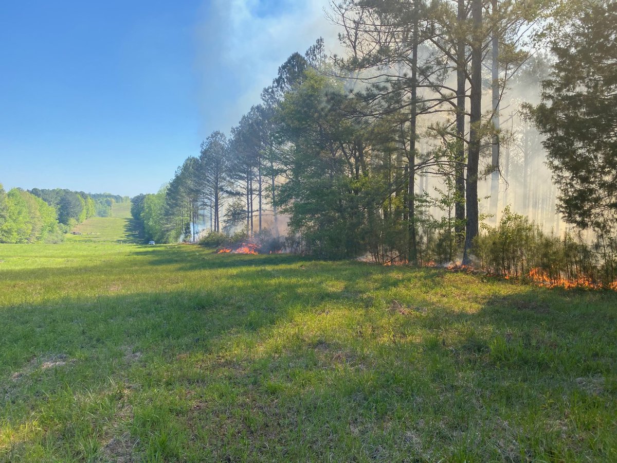 GaTrees's tweet photo. Beautiful #PrescribedFire last week in Coweta County! #GoodFires π²ππ₯ https://t.co/iIzrg86Y76