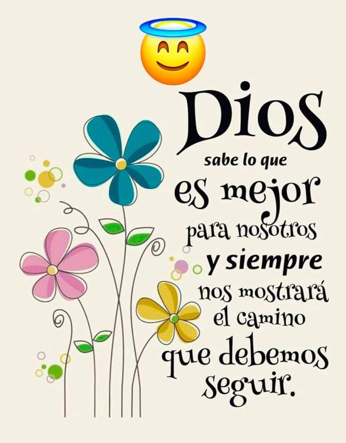 Buenos Días 🔆🔆 Que tengan un excelente Día 🍁 @Mippcivzla @nesyhu2 @yenny_escorche @yannelis1417 @solymart1 @Solecito19011 @Dariainis2311 @kristof8419 @luisenriqe1994 @Beatiful2020 @gipsybell23 @Olinto012 @JosRodi6 @MkPatriota @jsk24 #GestaIndependentista 🇻🇪🇻🇪🇻🇪🇻🇪🇻🇪🇻🇪🇻🇪🇻🇪🇻🇪