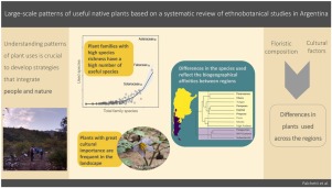 Melisa Giorgis (@melisagiorgis) on Twitter photo AddThis | Home authors.elsevier.com/sd/article/S25…
The first systematic review of ethnobotanical studies in Argentina!! see large-scale patterns on useful native plants <a href="/IMBIVCONICETUNC/">IMBIV-CONICET-UNC</a> <a href="/CONICETDialoga/">CONICET Dialoga</a> <a href="/conicetcordoba/">@ConicetCordoba</a> <a href="/PerspectEcolCon/">Pecon_elsevier</a> AddThis | Home authors.elsevier.com/sd/article/S25…
The first systematic review of ethnobotanical studies in Argentina!! see large-scale patterns on useful native plants <a href="/IMBIVCONICETUNC/">IMBIV-CONICET-UNC</a> <a href="/CONICETDialoga/">CONICET Dialoga</a> <a href="/conicetcordoba/">@ConicetCordoba</a> <a href="/PerspectEcolCon/">Pecon_elsevier</a>