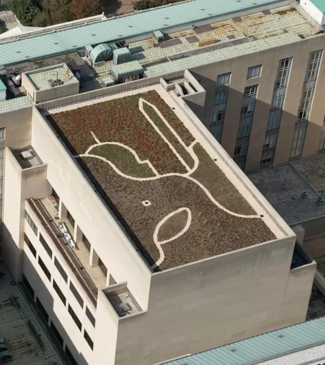 eat_dc's tweet photo. TIL the Dirksen Senate Office Building has a green roof with an abstract DC skyline. https://t.co/Bpu4orl4Kg