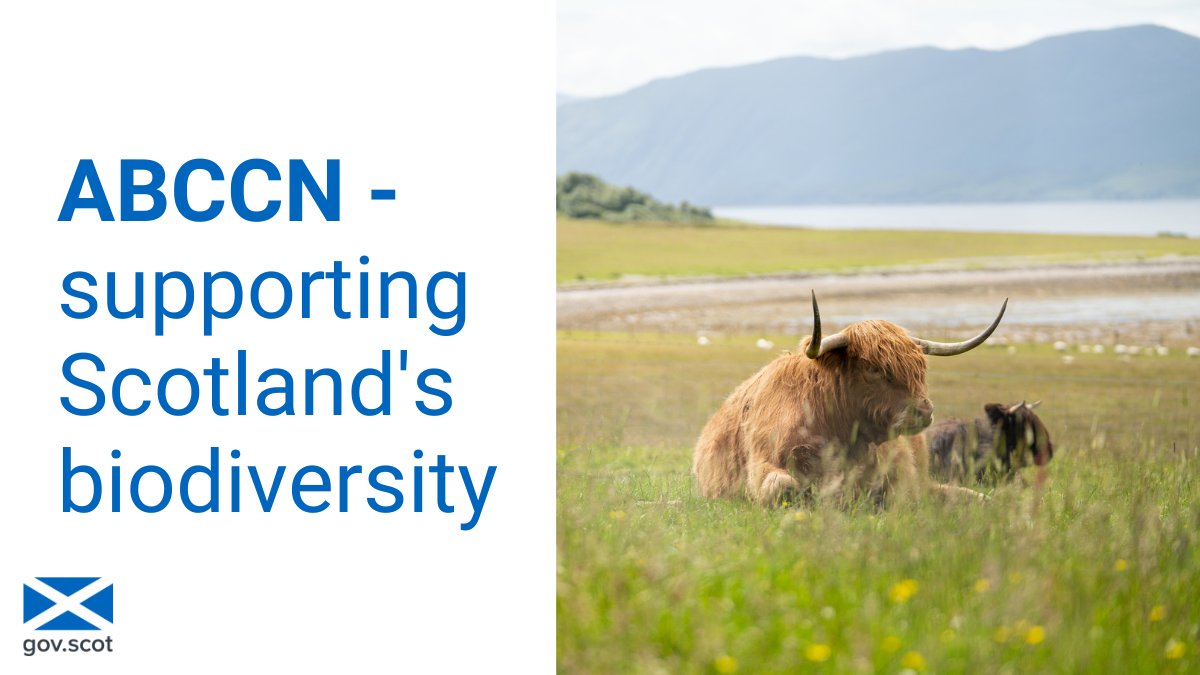 ScotGovRural's tweet photo. Have you heard about the Agriculture, Biodiversity and Climate Change Network (ABCCN)? It showcases the work being carried out by farmers and crofters in Scotland to fight climate change and support biodiversity, offering first-hand advice➡️https://t.co/hh0B6oe9xY #ABCCNetwork https://t.co/9bTP7Un6KC