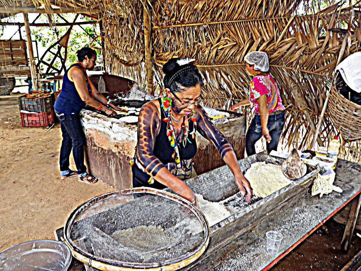 SlowFoodCerrado's tweet photo. No Dia do Indígena no Brasil, valorizamos sua influência em nossa culinária 🍴 A mandioca, o milho, o pequi e o guaraná são apenas alguns ingredientes que têm origem indígena e fazem parte da gastronomia brasileira 🍃🍛 #DiaDoIndígena #CulináriaBrasileira https://t.co/7T8ysu3T3v
