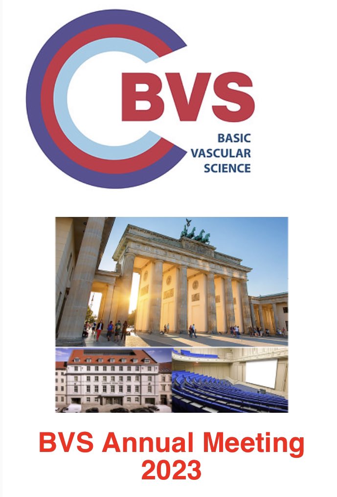 drjanicetsui's tweet photo. Still time to submit to BVS Berlin meeting https://t.co/C24bF0Gyds Deadline 24 April! @paulquax @junhon90 @Gefaesschirurg @WEISS_UCL @Adrien_Desjard @vdiazucl @VascularBiol @Dr_A_cubed https://t.co/6pDsP8DUab