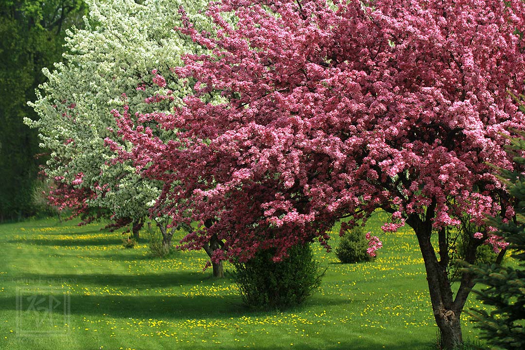 KJP Photography tweet media