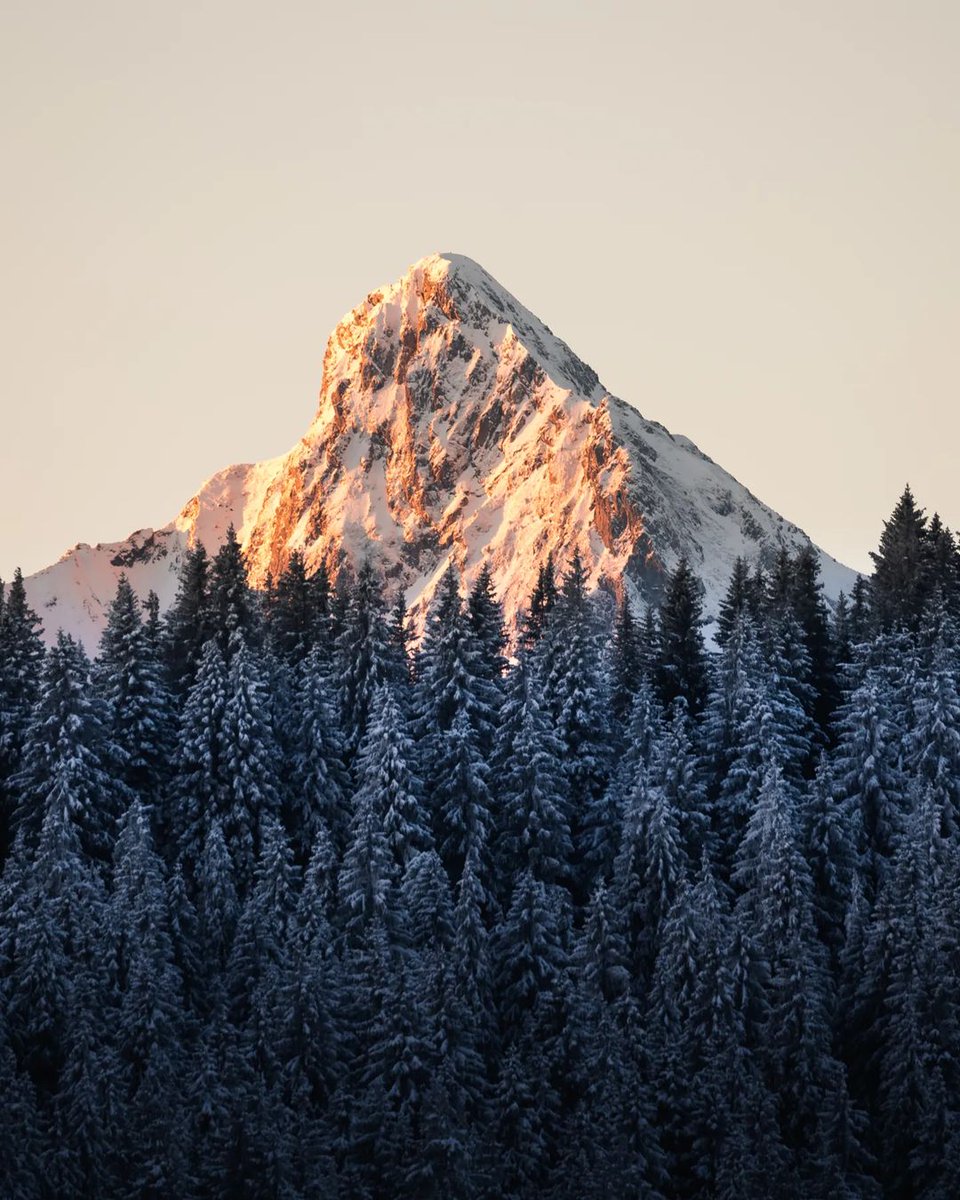 Morning glow 🔥 in Regionaler Naturpark Gantrisch... #verliebtindieschweiz #thewanderco #weroamgermany
#blickheimat #feelthealps instagram.com/endorfeen_/