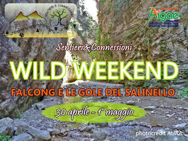 _sentieri's tweet photo. #viaggi #apiedi #goledelsalinello #loveabruzzo https://t.co/AqE1f73H1H