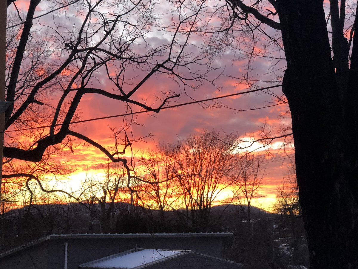 Jonathan Bartels RN 🌊 (@jonathanbarte17) on Twitter photo 