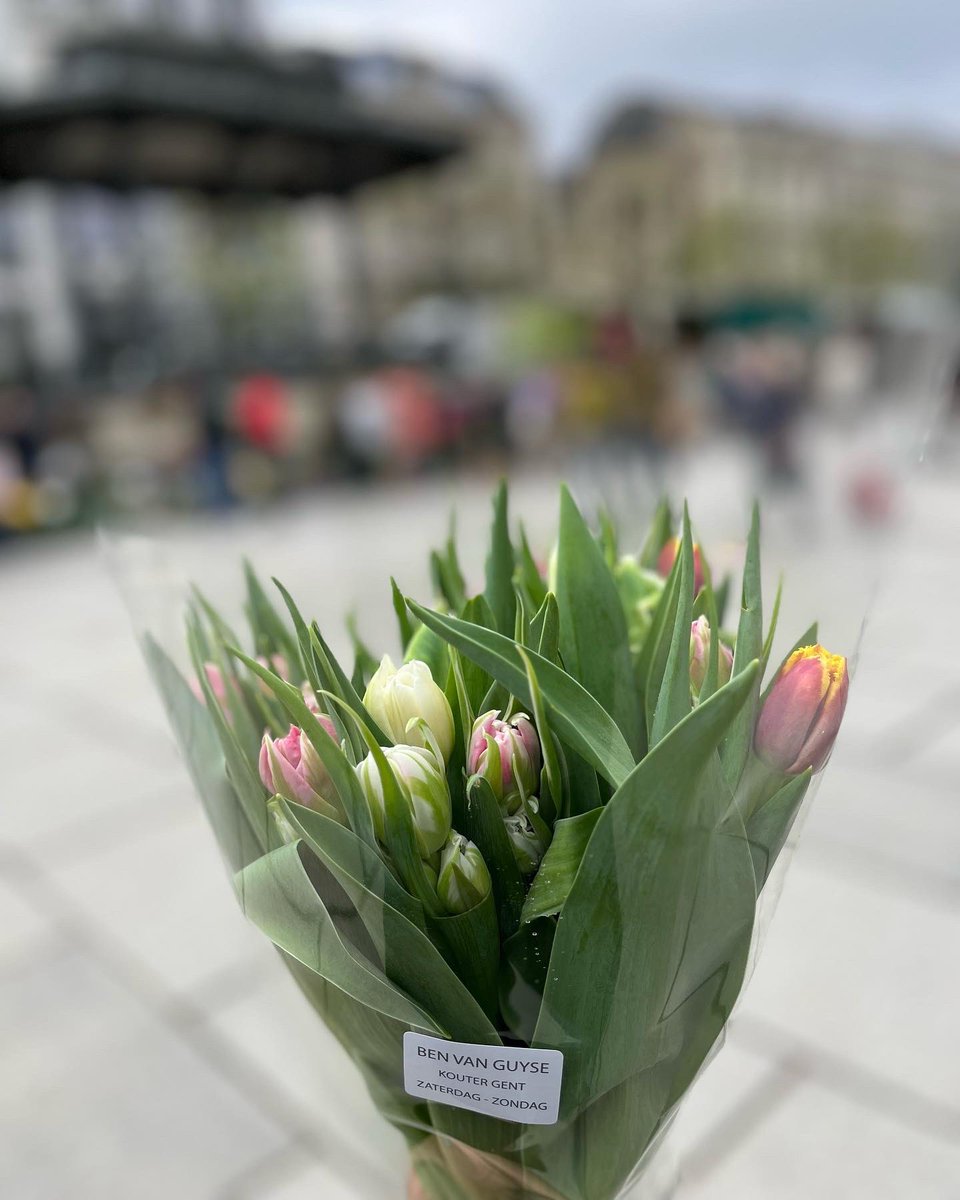 Llega la primavera y todo lo que quiero es que mi casa y mi vida estén llenas de flores. 🌷✨