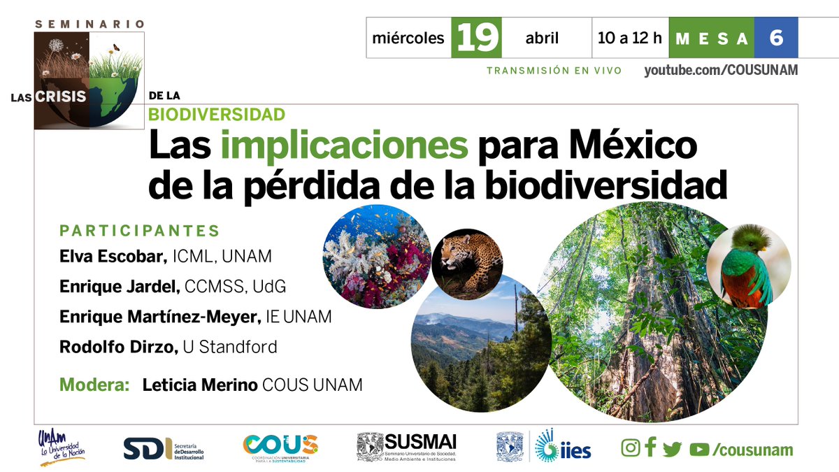 SUSMAI UNAM on Twitter: "Este 19 de abril hablaremos sobre la pérdida