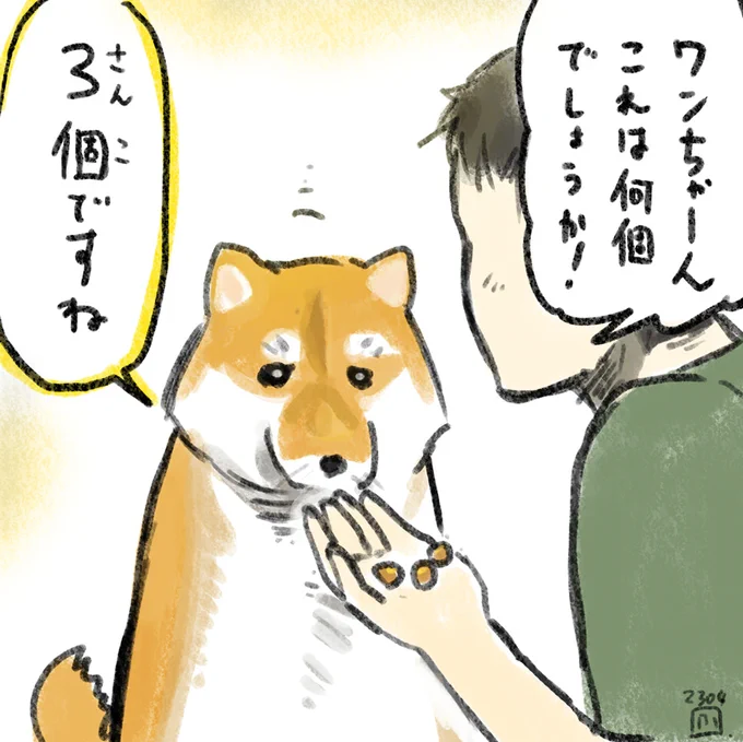 賢いイヌ 