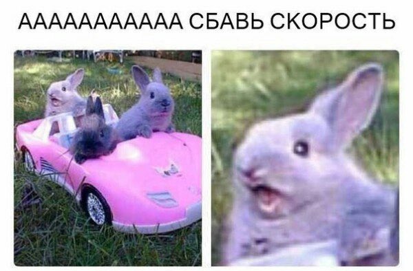kamkem_'s tweet photo. @alcoholiza уже лет 8 как в первый раз https://t.co/XCA8nj6YQp