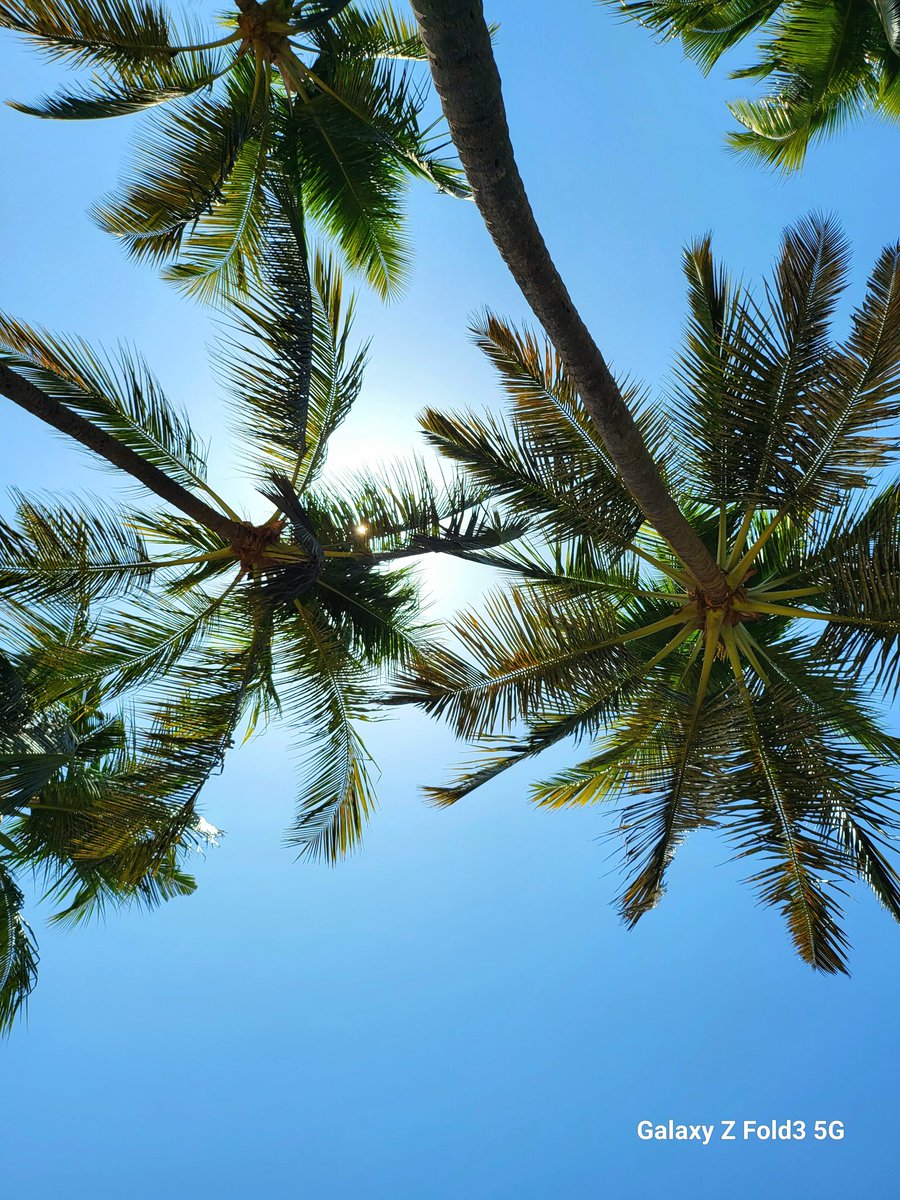 भाग्य हो या भूमि हो..
जो बोएंगे वही पाएंगे !!