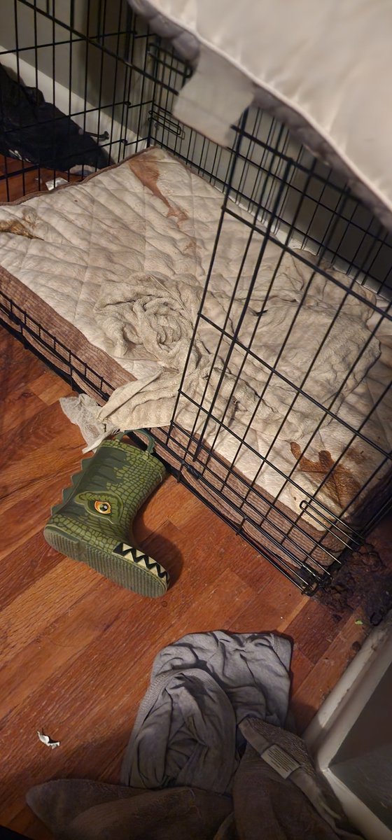 joeymichael20's tweet photo. @CaptainCrypto06 Done.. could really use it. My dog is throwing up blood and pooping blood. Taking him to the vet right now. Wish us luck. 

0x3f83BE7f707B6f2aFA7F5c7d0750276bCe0991Bb https://t.co/2qfvFjFMhY