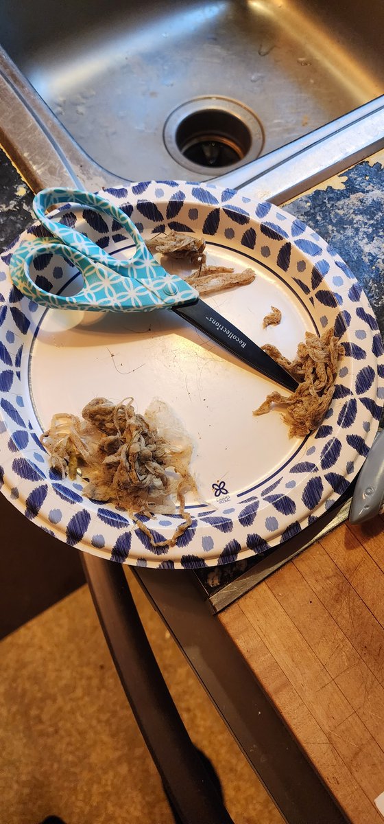 joeymichael20's tweet photo. @CaptainCrypto06 Done.. could really use it. My dog is throwing up blood and pooping blood. Taking him to the vet right now. Wish us luck. 

0x3f83BE7f707B6f2aFA7F5c7d0750276bCe0991Bb https://t.co/2qfvFjFMhY