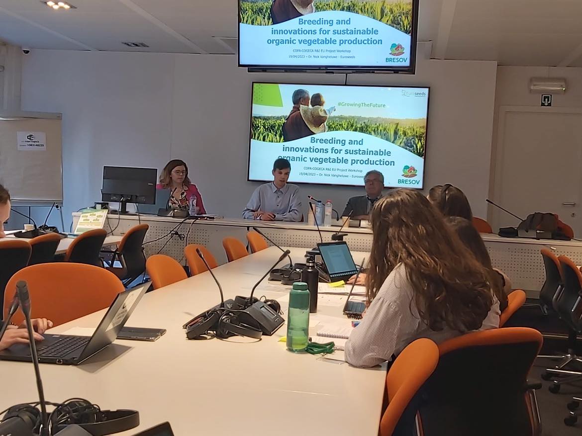 BRESOV_EU's tweet photo. Dr. Nick Vangheluwe @nvgheluw from @EuroseedsEU took part in the @COPACOGECA R&amp;I Activities Workshop where he presented the #BresovEU project with a focus on Key Exploitable Results and how they could improve competitiveness of vegetable crops in organic production.
#organics https://t.co/45rJaySU0P