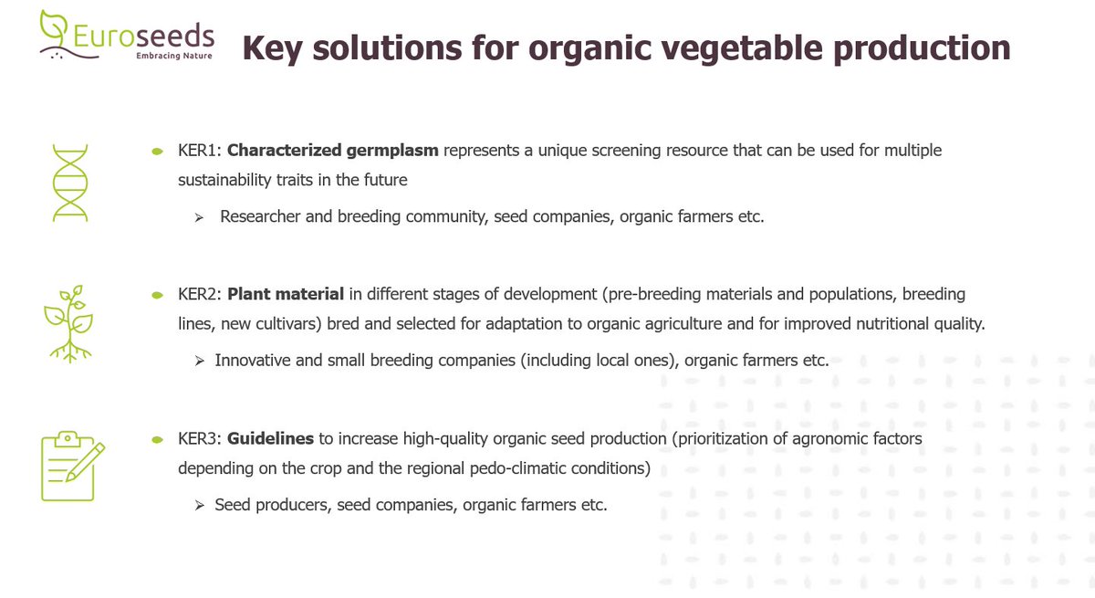 Dr. Nick Vangheluwe @nvgheluw from @EuroseedsEU took part in the @COPACOGECA R&I Activities Workshop where he presented the #BresovEU project with a focus on Key Exploitable Results and how they could improve competitiveness of vegetable crops in organic production. #organics